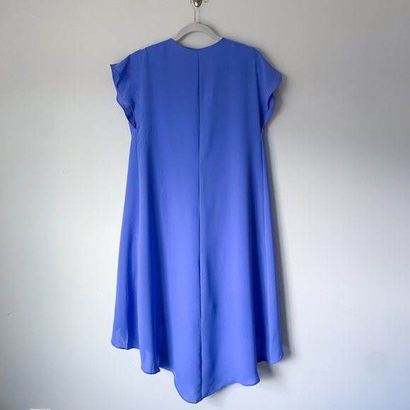 Soma Ruffle V-Neck Periwinkle Short Dress - Picture 6 of 8